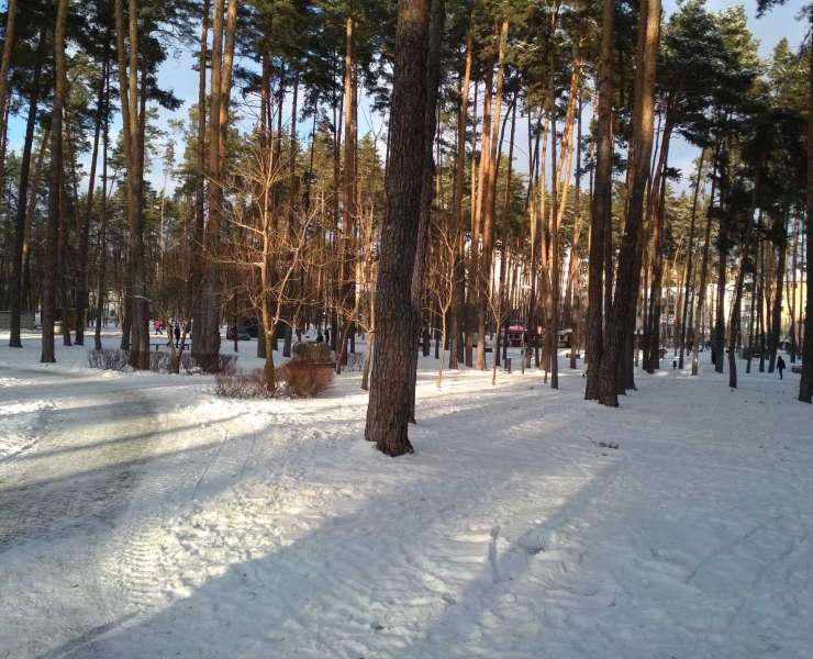 Продажа 1 однокомнатная квартира в ЖК Центральный 2 с видом на Центральный парк. Агентство недвижимости