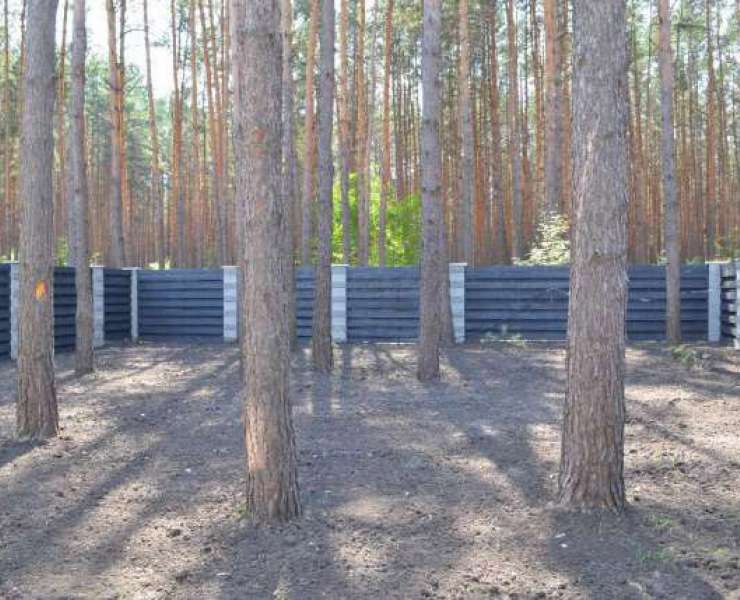 Продажа двухэтажного отличного дома с соснами на участке в Гостомеле. Агентство недвижимости
