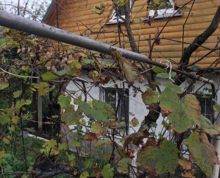 Продажа двухэтажный дом по Житомирской трассе рядом озера и лес село Гореничи. Агентство недвижимости