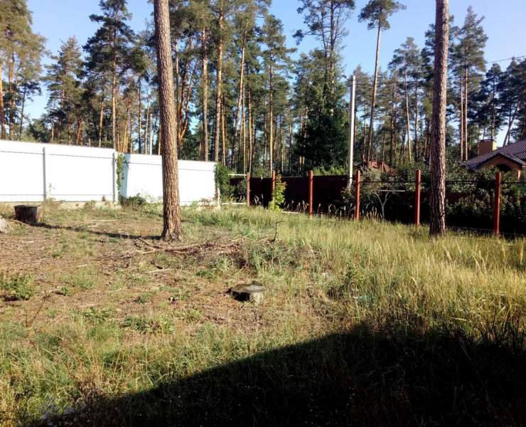 Продажа коттеджный дом в лесной части Ирпеня рядом с лесом. Агентство недвижимости