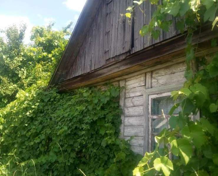 Продажа одноэтажный дом с 12 сотками земли улица Шевченко село Козинцы. Агентство недвижимости