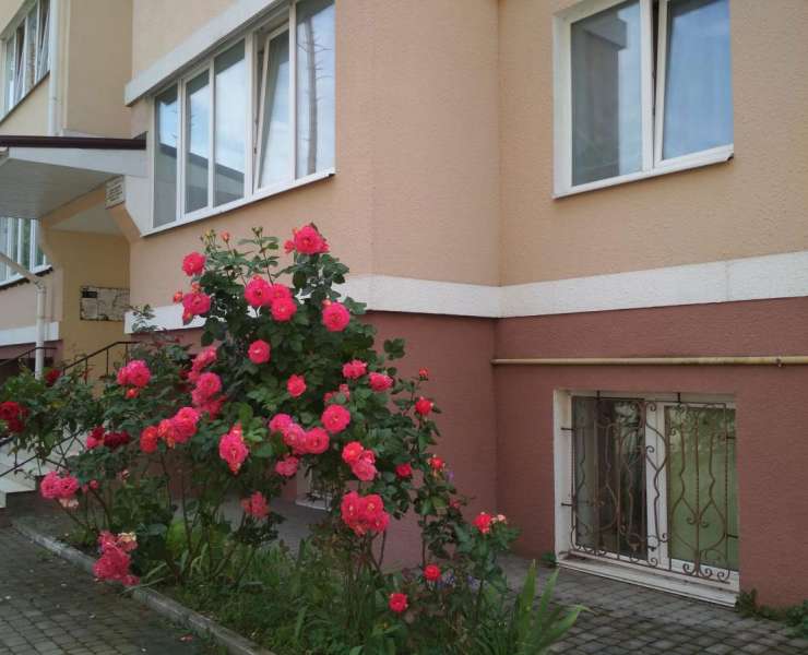 Продажа 1 однокомнатная квартира на цокольном этаже в районе Центрального парка улица Чехова Ирпень. Агентство недвижимости