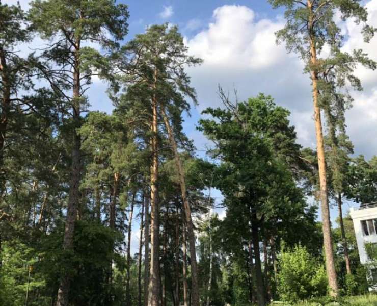 Продажа отличной двухкомнатной квартиры с ремонтом в Ворзеле. Агентство недвижимости